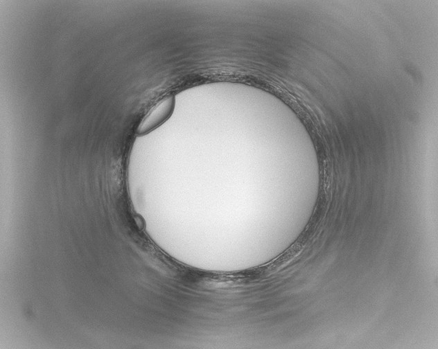 X0000116820563200912181117