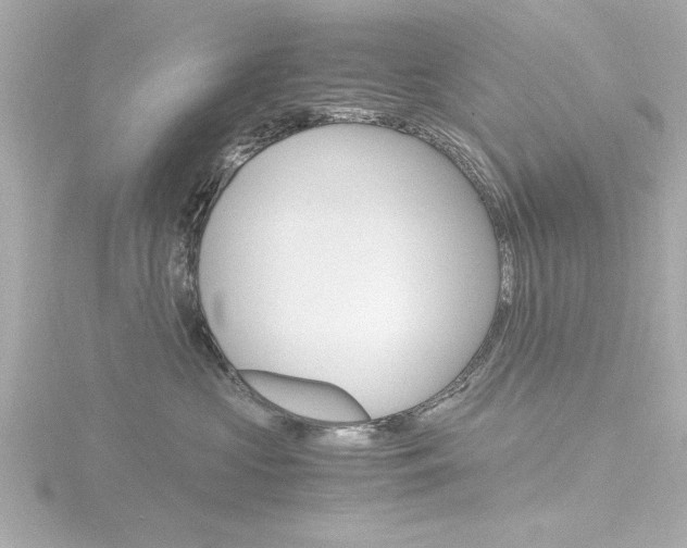 X0000116820573200912181117
