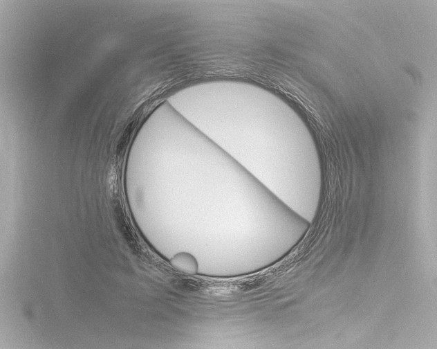 X0000116820595200912181116