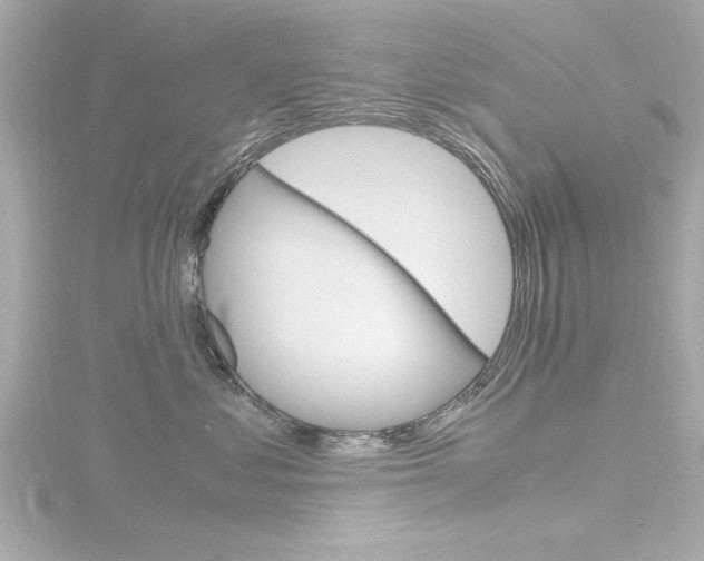 X0000116820621200912181116