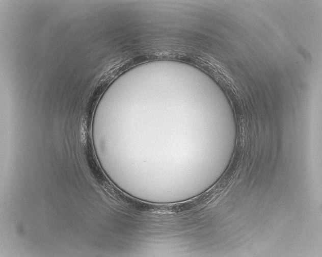 X0000116820644200912181115