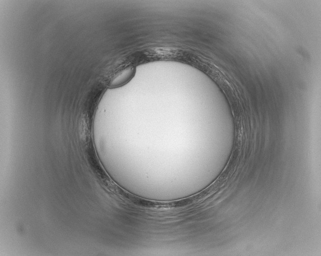X0000116820651200912181115