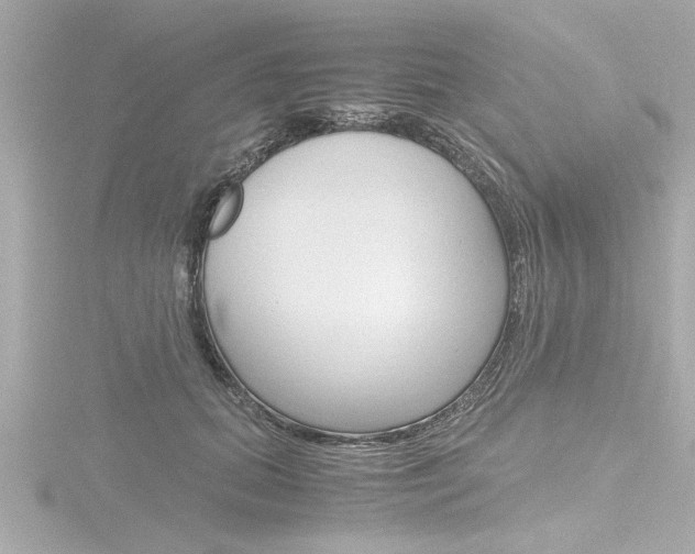 X0000116820655200912181116