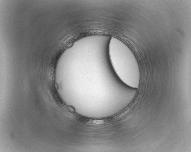 X0000116820665200912181116
