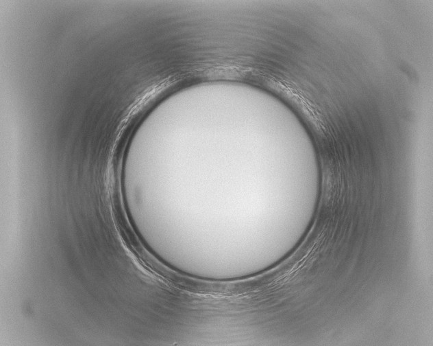 X0000116820674200912181115