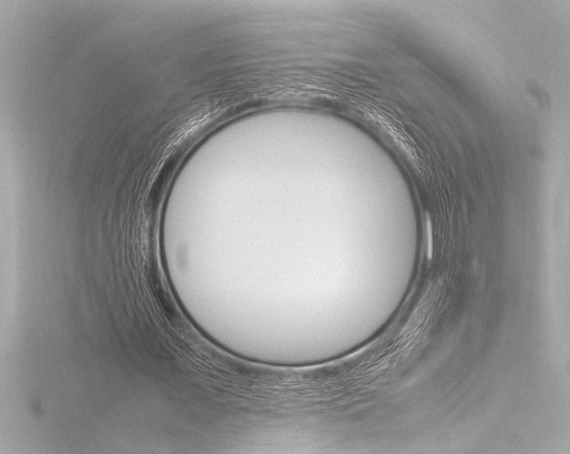 X0000116820675200912181115