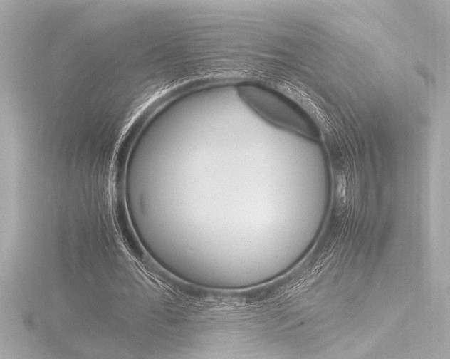 X0000116820676200912181115