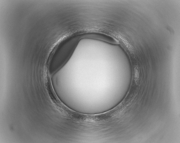 X0000116820684200912181115