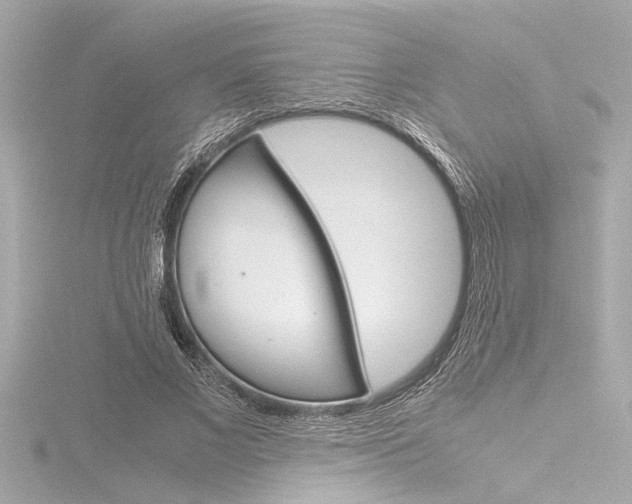 X0000116820685200912181115