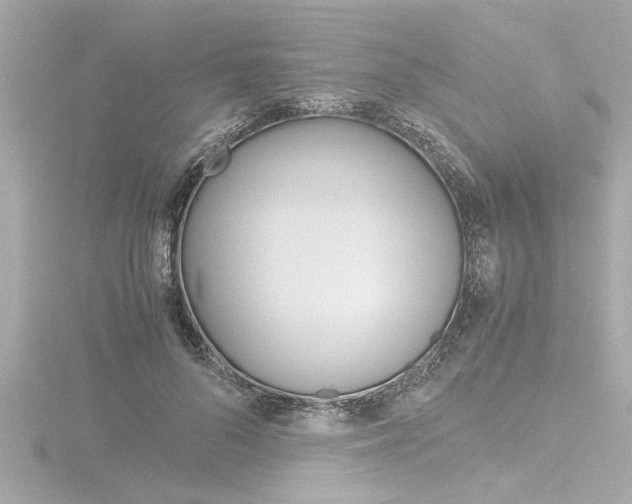 X0000116820696200912181115