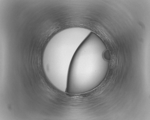 X0000116820700200912181114