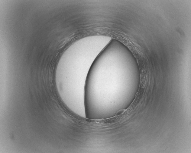 X0000116820704200912181114