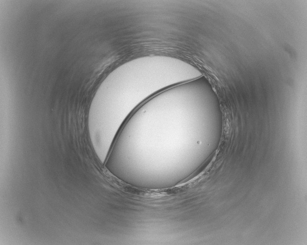 X0000116820716200912181114
