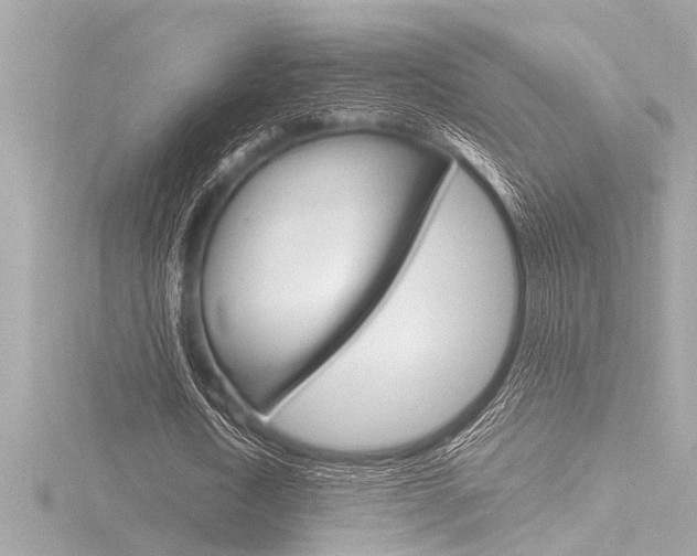 X0000116820722200912181114