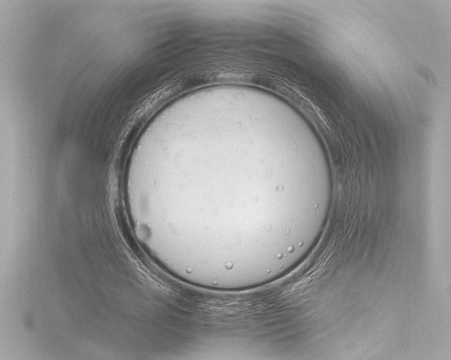 X0000116820725200912181114