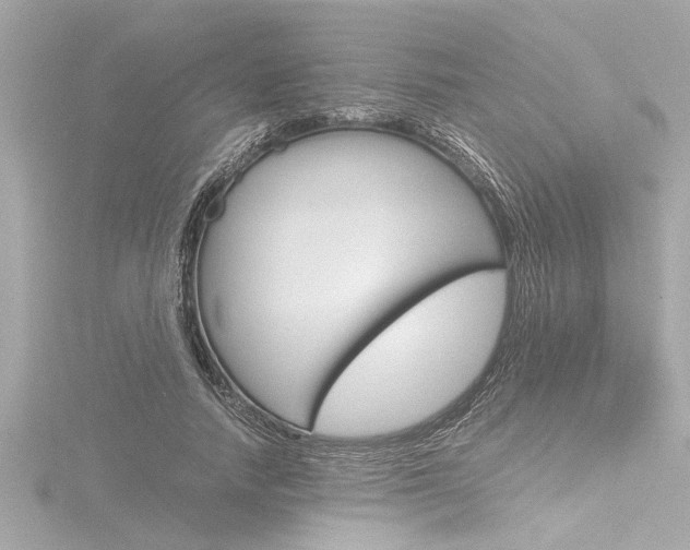 X0000116820738200912181114