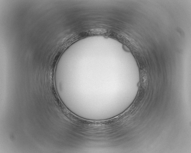 X0000116820745200912181114