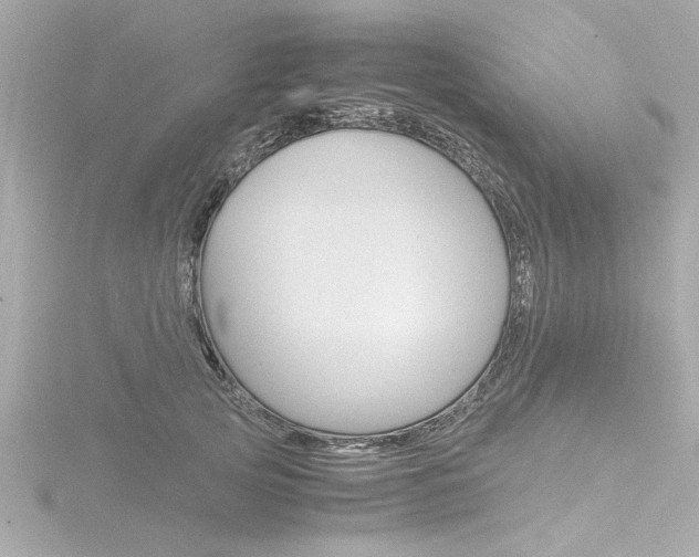X0000116820753200912181114