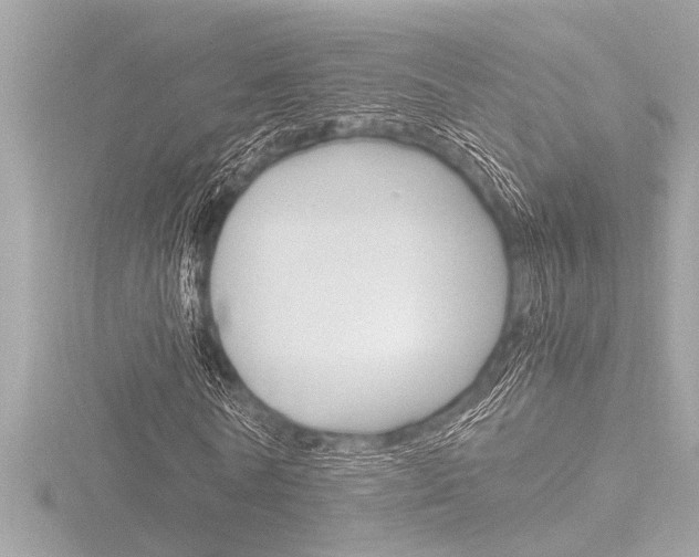 X0000116820770200912181114