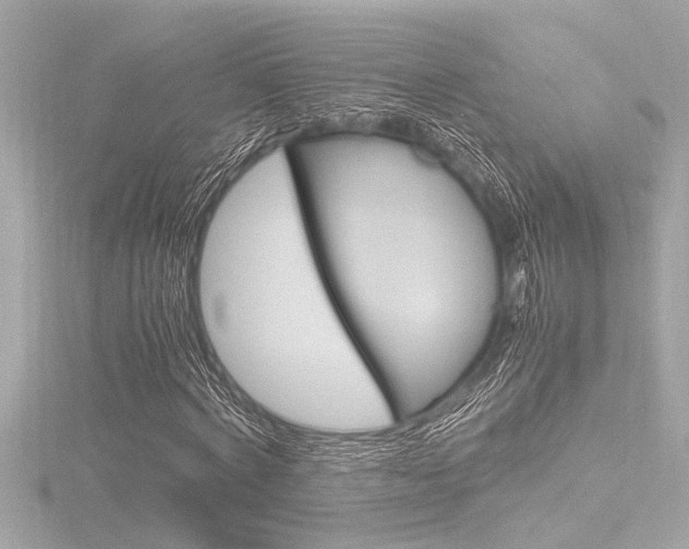 X0000116820772200912181114