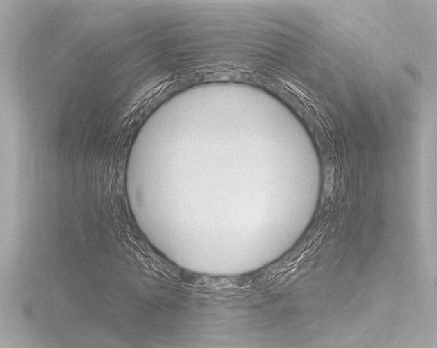 X0000116820774200912181114