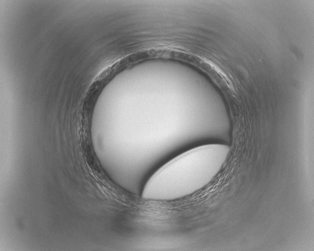 X0000116820775200912181113