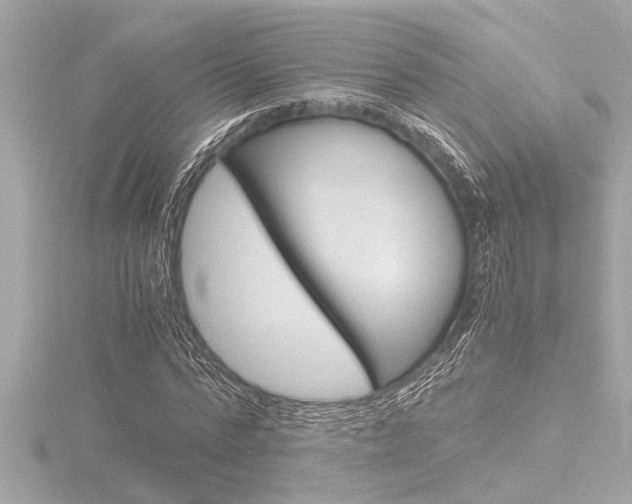 X0000116820776200912181113