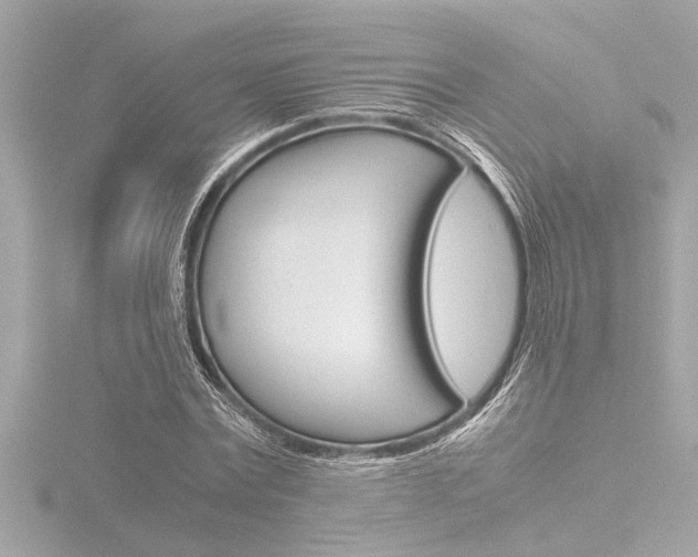 X0000116820779200912181113