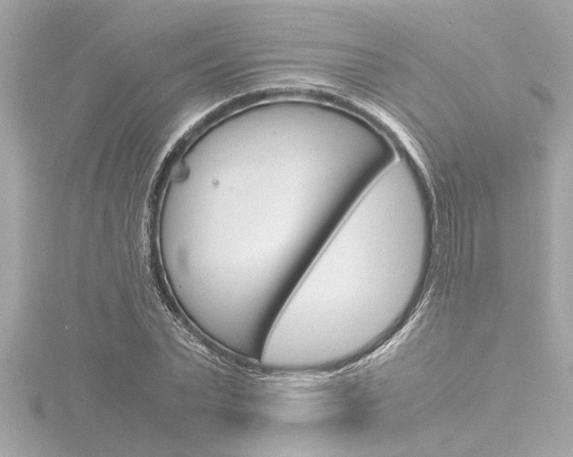 X0000116820783200912181113