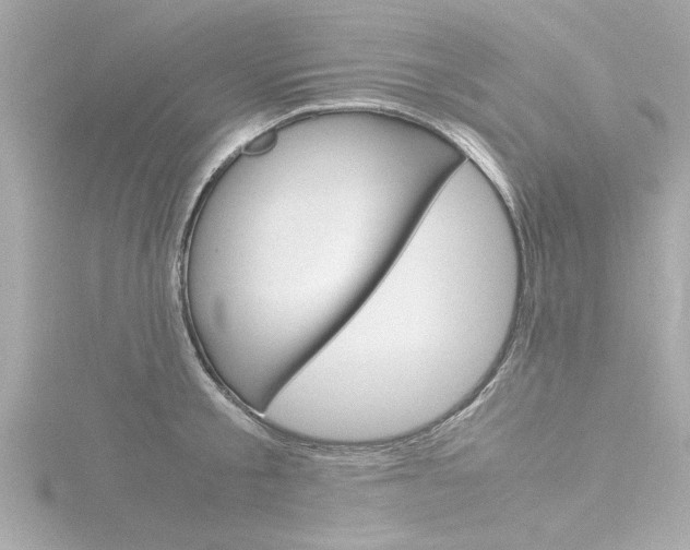 X0000116820805200912181113