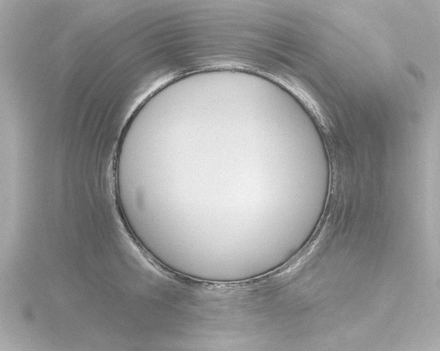 X0000116820806200912181113