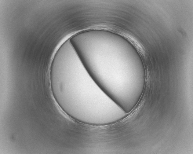 X0000116820808200912181113