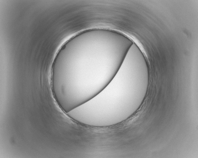 X0000116820815200912181113