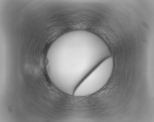 X0000116820819200912181112