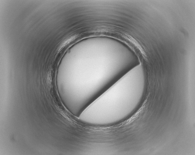 X0000116820826200912181112