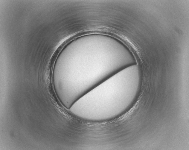 X0000116820830200912181113
