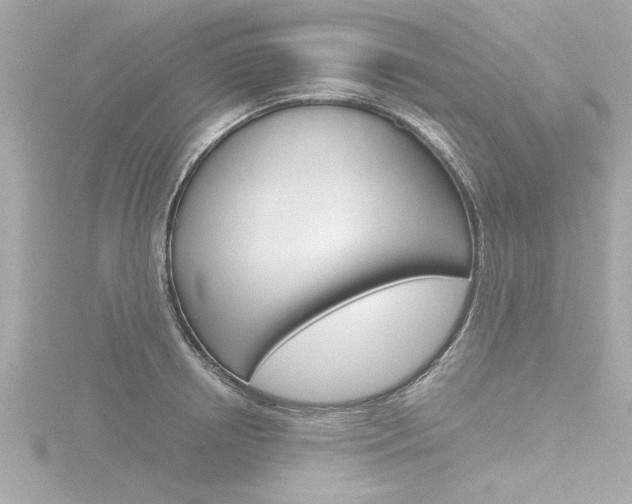 X0000116820850200912181113