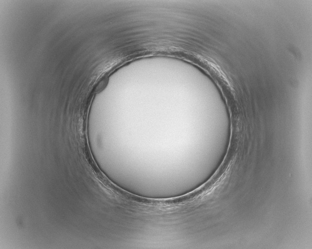 X0000116820881200912181112
