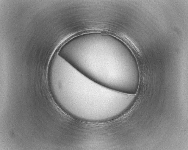 X0000116820884200912181112