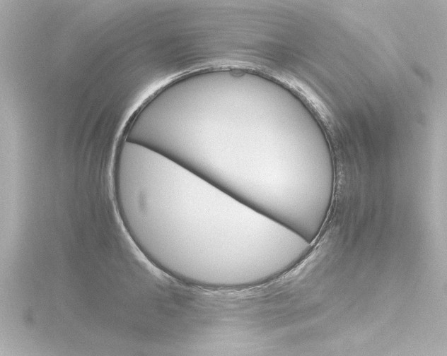 X0000116820902200912181112