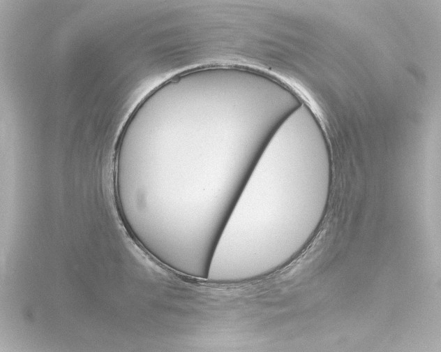 X0000116820903200912181112