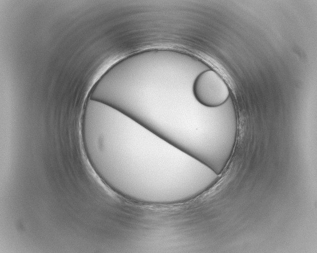 X0000116820906200912181112