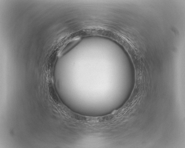 X0000116820965200912181111