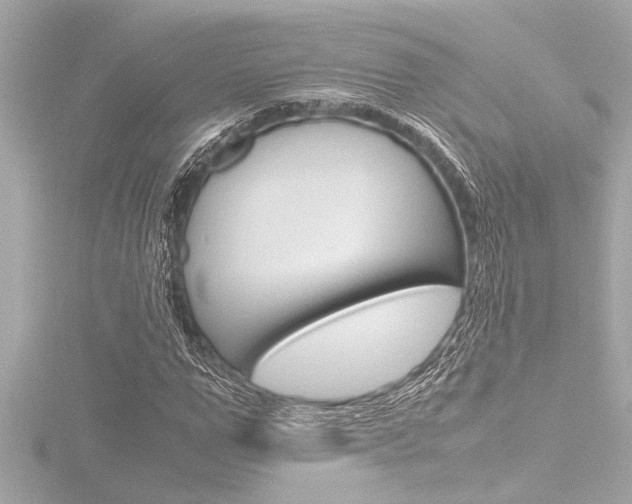 X0000116820967200912181111