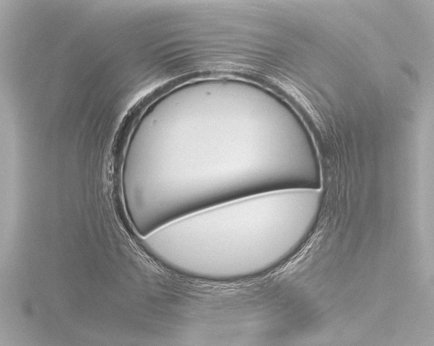 X0000116820971200912181111