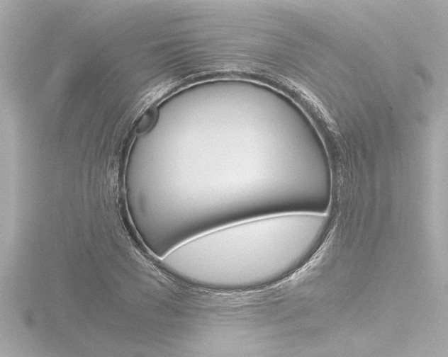 X0000116820977200912181111