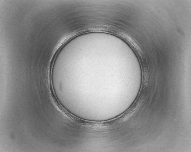 X0000116820986200912181111