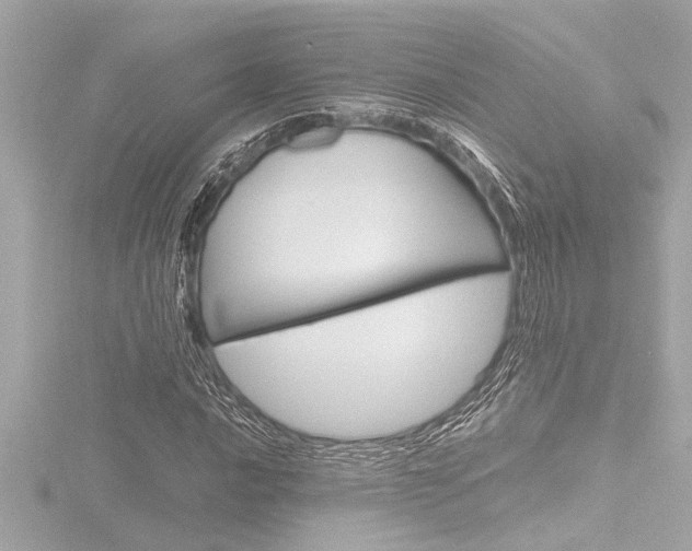X0000116821016200912181110