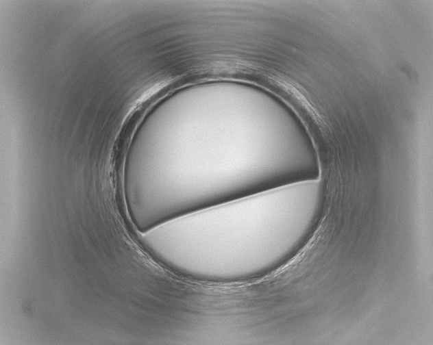 X0000116821018200912181110