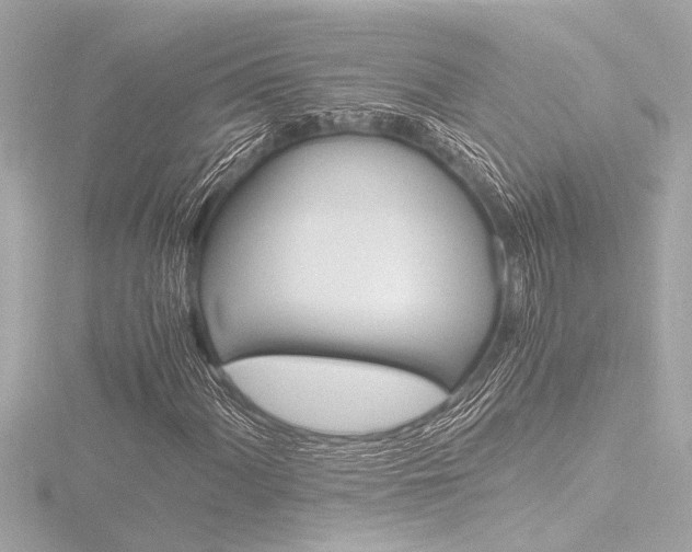 X0000116821060200912181110